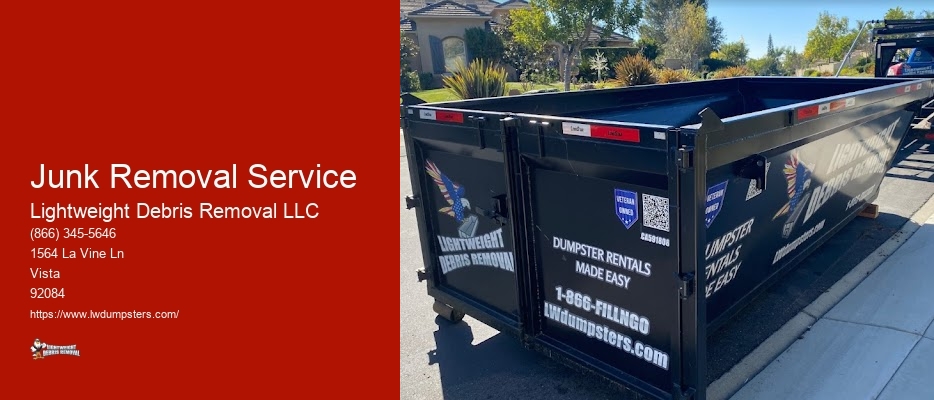Junk Removal Service